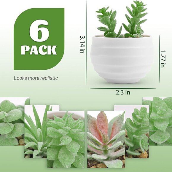 NEW Set of 6 Succulents Plants Artificial in Pots Small Fake Plants. - Picture 4 of 9